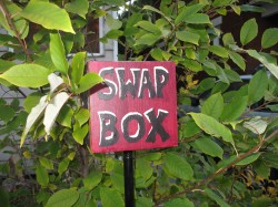 Cambridge Street Swap Box