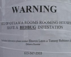 Bedbug Infestation in Ottawa