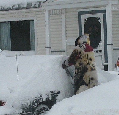 Dogcoat Woman