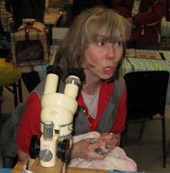 Ferret woman cleaning ferret ears