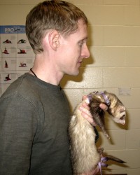 Ferret Man with Ferret