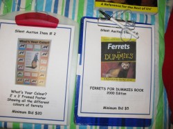 Ferret auction items