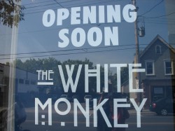 The White Monkey on Gladstone