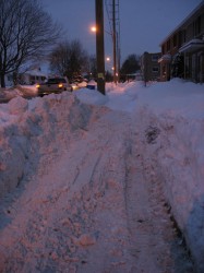 Sidewalk outside my house this morning