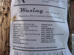 Things you never thought of waxing