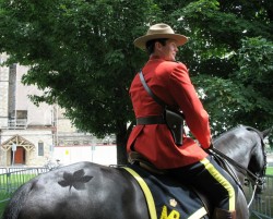 Ike, The Parliament Hill Horse