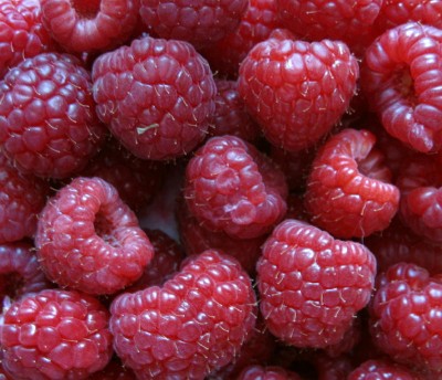 Mmmmmm....raspberries