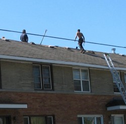 Roofers in action