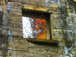 The carbide factory ruins