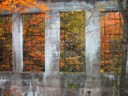 Carbide factory ruins II