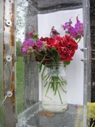 Plexiglass Flower Display