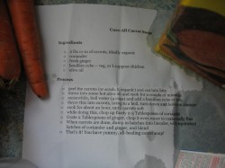 Janet's Cure-All Carrot Soup