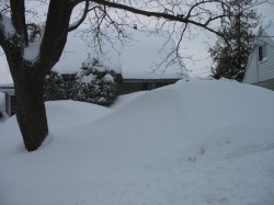 House soon buried