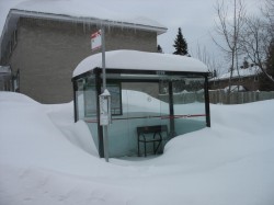 Bus Shelter