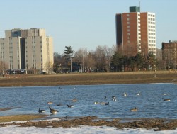 New lake emerges between the Civic Hospital and the Experimental Farm