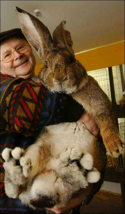 Duncan's bunny friend