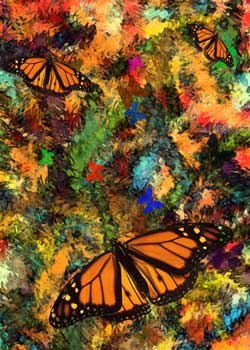 Butterfly Garden Three